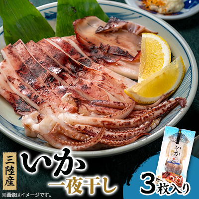 イカ一夜干し3枚入×1p【配送不可地域：離島】【1614056】