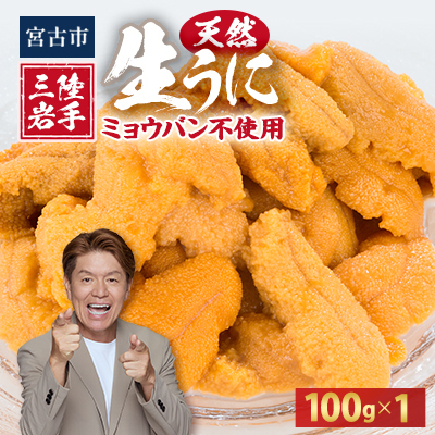 【2026年4月下旬以降順次発送】天然生うに100g×1パック岩手県産　ミョウバン不使用【配送不可地域：離島・沖縄・九州】【1625389】