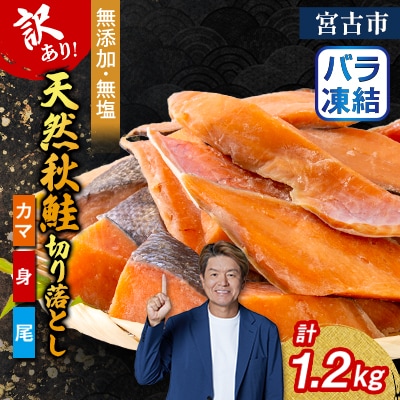 【訳あり】秋鮭切り落とし(カマ・身・尾)300g×4袋セット【配送不可地域：離島】【1632505】
