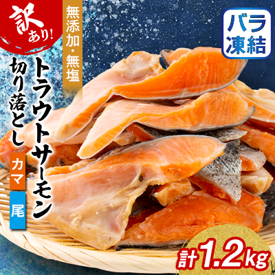 【訳あり】トラウトサーモン切り落とし(カマ・尾)300g×4袋セット【配送不可地域：離島】【1632509】