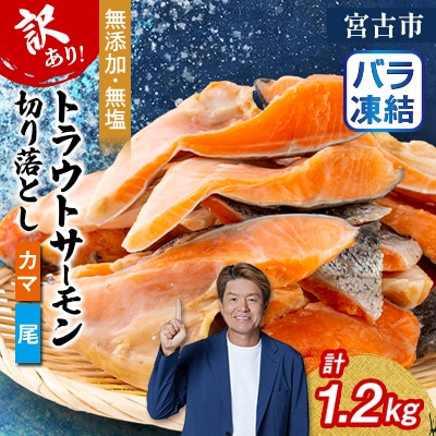 【訳あり】トラウトサーモン切り落とし(カマ・尾)300g×4袋セット【配送不可地域：離島】【1632509】