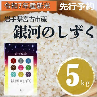 〈先行予約 12月より順次発送〉【令和7年産】岩手県産銀河のしずく 精米 5kg【1647847】