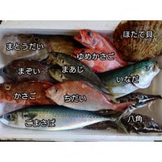 三陸宮古の活き活き鮮魚詰合せ[配送不可地域:離島・沖縄・九州]