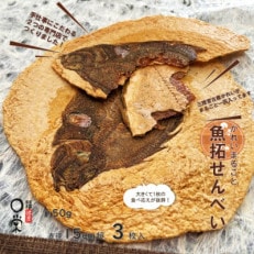 【かれい専門店】宮古で獲れた かれいまるごと魚拓せんべい 直径15cm超 3枚【1391191】