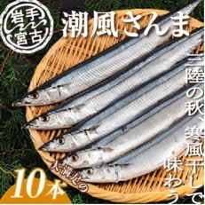 潮風さんま10本【配送不可地域：離島】【1462758】