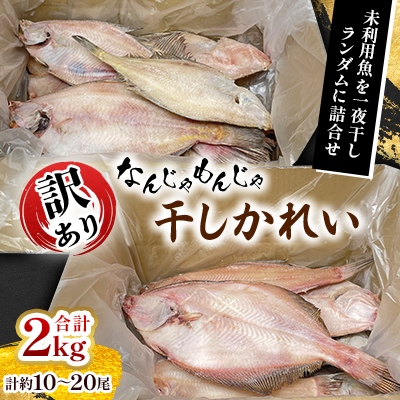 なんじゃもんじゃ訳あり未利用魚かれい 2kgセット【配送不可地域:離島】【1521673】