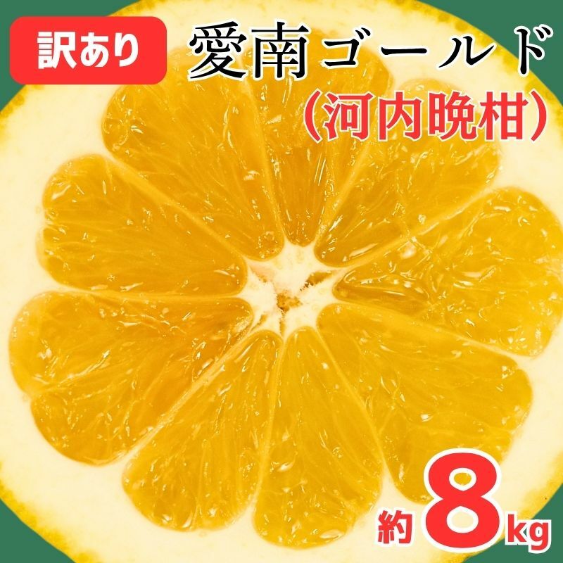 訳あり 愛南ゴールド ( 河内晩柑 ) 8kg 9000円  かわちばんかん ミカン わけあり  家庭用 あいなん ゴールド 蜜柑 和製 グレープフルーツ 産地直送 国産 農家直送 期間限定 数量限定 フルーツ 果物 柑橘 傷 不揃い 規格外 愛媛県 愛南町 愛なんよ