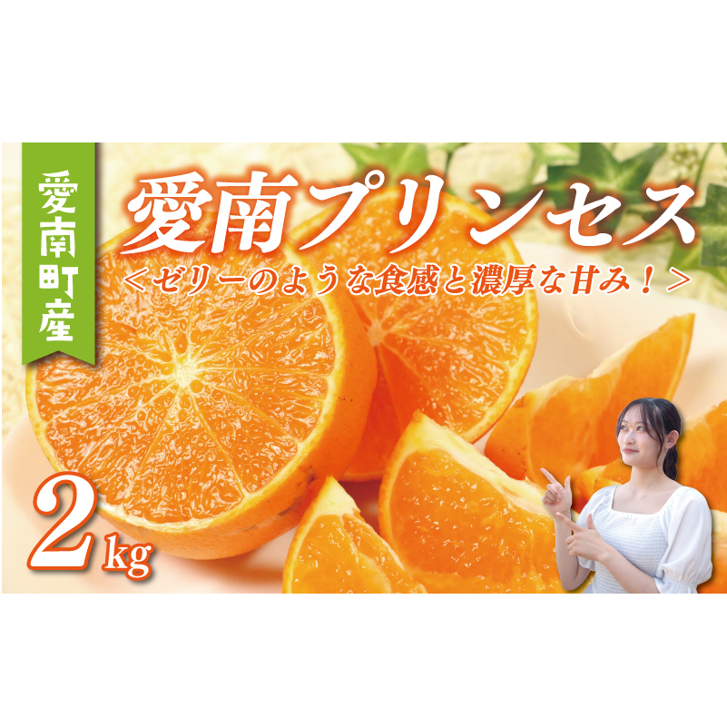 愛南 プリンセス 2kg サイズミックス 15000円 みかん 愛果48号 まどんな と 甘平 を交配 高級 人気 ブランド 柑橘 果物 フルーツ 紅プリンセス と 同一品種 数量限定 期間限定 産地直送 国産 農家直送 特産品 お取り寄せ ギフト プレゼント mikan 蜜柑 ミカン ぷりんせす 甘い おいしい ゼリー ぷるぷる 果樹園みどり 愛南町 愛媛県