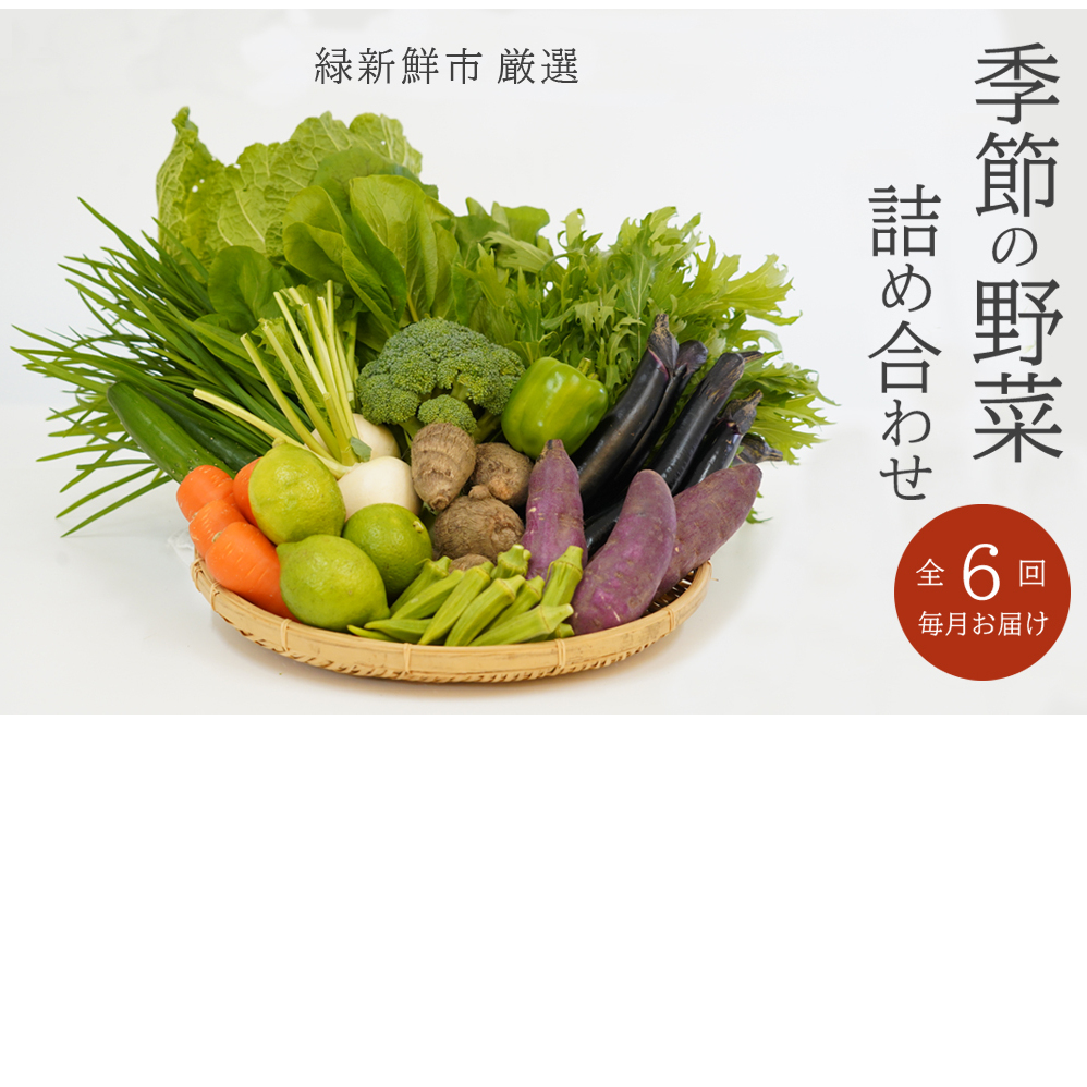 6回お届け　季節の旬野菜詰合せ