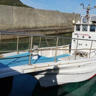 【ＡＢや渡船】乗船券