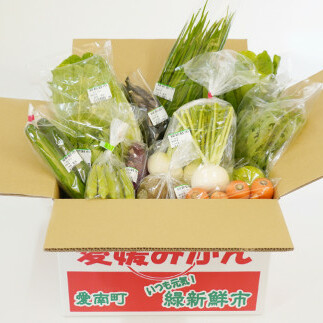 取りたて新鮮！旬の野菜詰め合わせセット