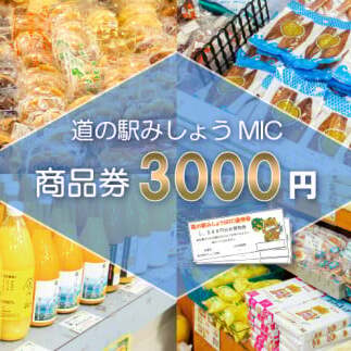 商品券 3000円分 道の駅 お買い物券 柑橘類 みかん 魚貝類 鰹 かつお 野菜 さつまいも 果物 くだもの フルーツ お菓子 スイーツ お土産 みしょうMIC 愛媛県 愛南町