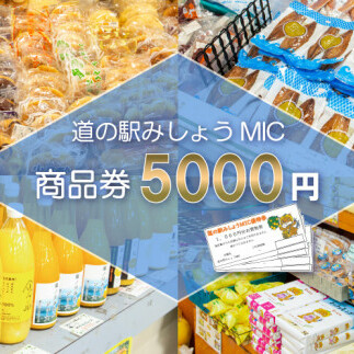 商品券 5000円分 道の駅 お買い物券 柑橘類 みかん 魚貝類 鰹 かつお 野菜 さつまいも 果物 くだもの フルーツ お菓子 スイーツ お土産 みしょうMIC 愛媛県 愛南町