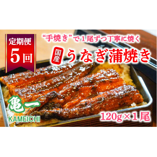 定期便 5回 うなぎ 蒲焼 約120g 1本 鰻 老舗 亀一 手焼き タレ セット