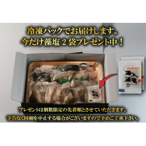 クエ 鍋セット 2kg タマクエ 切り身 ＋ アラ 合計 8～10人前 (500g×4) 冷凍 クエ 高級 幻 新種 鍋 アラ鍋 海鮮 刺身 生食 脂  プレミアム 新鮮 白身魚 淡泊 蒸し料理 グリル 規格外 九絵 レモン 藻塩 ギフト