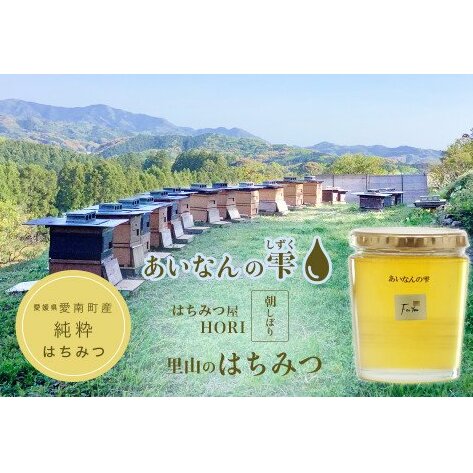里山のはちみつ ~あいなんの雫~ 450g 発送時期:2025年5月~(なくなり次第終了)