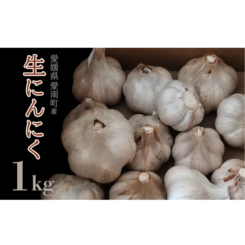 石川ファームの愛南町産にんにく 1kg 発送: 5月20日～11月30日