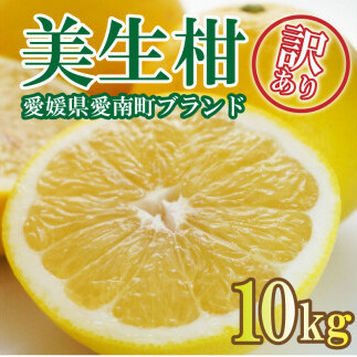 先行予約 訳あり 美生柑 みしょうかん 約10kg 河内晩柑 不揃い 大小ミックス 傷あり ばんかん フルーツ 果物 くだもの 文旦 晩生柑 厳選 愛媛 みかん 蜜柑 愛南 ご当地 ブランド