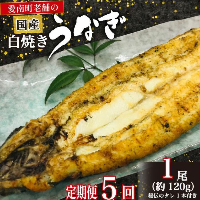 定期便 5回 うなぎ 白焼 約120g 1本 鰻 老舗 亀一 手焼き タレ セット