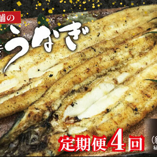 定期便 4回 うなぎ 白焼 約120g 2本 老舗 亀一 手焼き 鰻 タレ セット