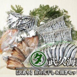 【訳あり】 名人が作る魚の丸干し＆開きセット 3kg 干物 国産 天然 ひもの 干物セット 訳アリ わけあり 魚 魚介 冷凍 新鮮 鮮魚 選抜 武久海産 丸干し 切り身 おつまみ おかず 人気 珍味 グルメ 規格外 国産 武久海産 愛媛 愛南	 
