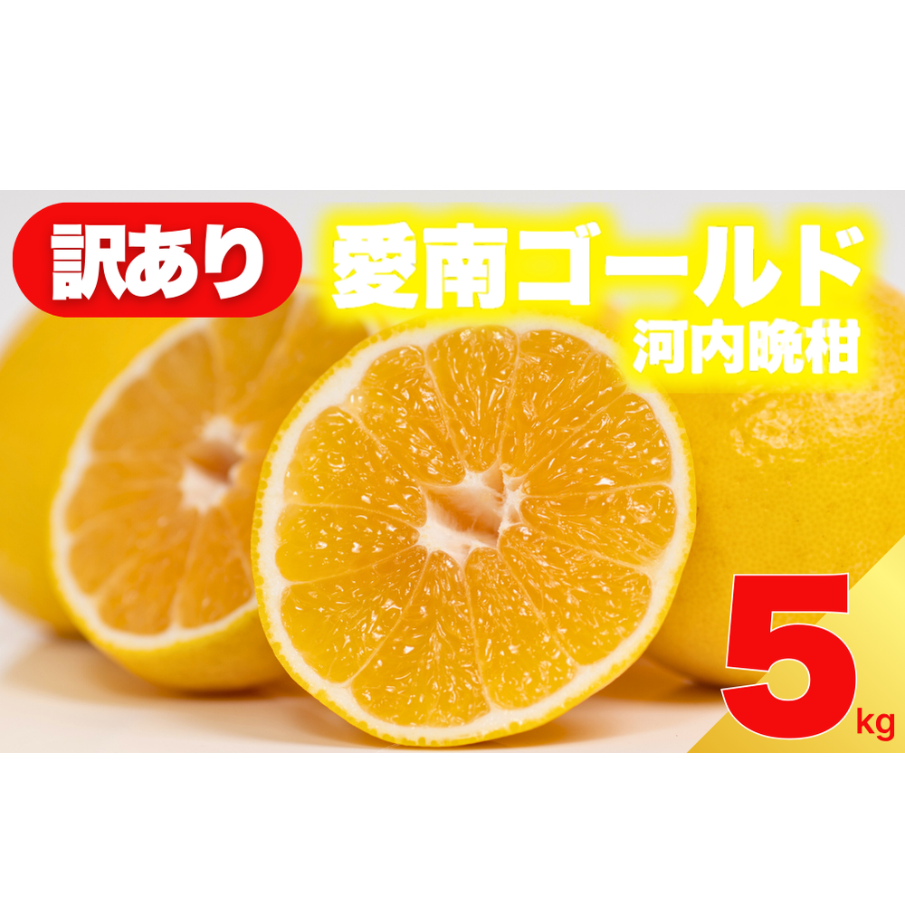 【 先行予約 】 訳あり 減農薬 愛南ゴールド 河内晩柑 5kg サイズ ミックス 家庭用 産直 農家直送 和製 グレープフルーツ 家庭用 甘い 爽やか 瑞々しい ジューシー 濃厚 旨味 酸味 旬 初夏 柑橘 みかん 蜜柑 不揃い サイズ混合 フレッシュジュース ジュース ゼリー ジャム マーマレード デザート 焼酎割り サワー 先行予約 予約受付 期間限定 数量限定 愛媛県 愛南町 愛南フルーツ