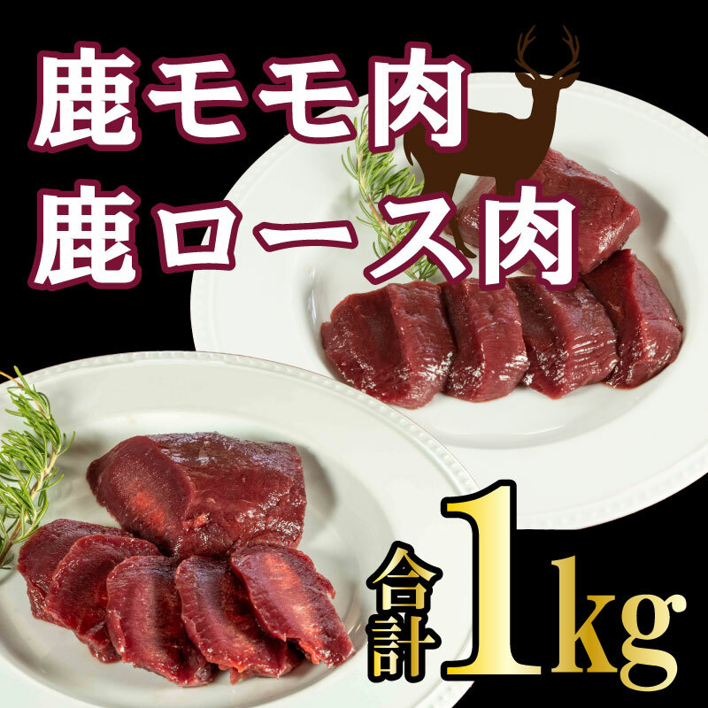 愛南ジビエ 鹿 モモ肉 500g ロース肉 500g セット
