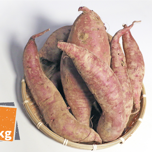 訳あり 紅はるか 5kg サイズミックス サツマイモ 焼き芋 干し芋 丸干し 冷凍焼き芋 冷やし焼き芋 やきいも 蜜芋 ほしいも スイートポテト フライドポテト いも天 熟成 甘い ねっとり しっとり ほくほく 生芋 新芋 土付き 芋 いも 甘藷 べにはるか スイーツ おかず さつまいも 国産 人気 糖度 産地直送 農家直送 数量限定 7000円 ぽぷら愛南 愛媛県 愛南町