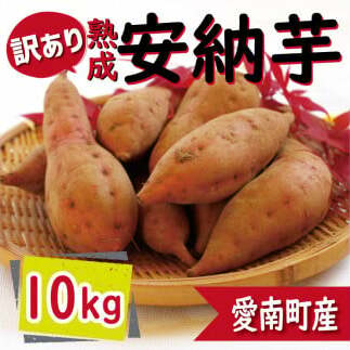 訳あり 熟成 安納芋 10kg サイズ混合 サツマイモ 焼き芋 干し芋 丸干し 冷凍焼き芋 冷やし焼き芋 やきいも 蜜芋 ほしいも スイートポテト フライドポテト いも天 サイズミックス  甘い ねっとり しっとり ほくほく 生芋 新芋 芋 いも 甘藷 あんのういも スイーツ おかず さつまいも 国産 人気 糖度 産地直送 農家直送 数量限定 14000円 愛媛県 愛南町 ミッチーのおみかん畑