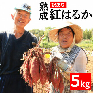 訳あり 熟成 紅はるか 5kg さつまいも いも 低温熟成 完全熟成収穫  M～2Lサイズ 高糖度 料理 国産 愛媛県 愛南町青果市場 発送時期：12月下旬～5月下旬（なくなり次第終了）