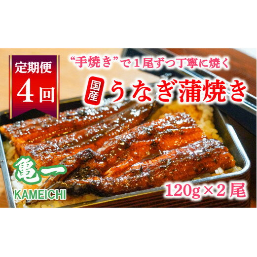 定期便 4回 うなぎ 蒲焼 約120g 2本 老舗 亀一 手焼き 鰻 タレ セット
