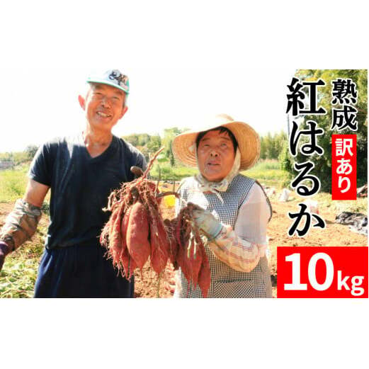 訳あり 熟成 紅はるか 10kg さつまいも いも 低温熟成 完全熟成収穫 甘い 糖度 焼き芋 やきいも スイートポテト おやつ サイズミックス 2S～3Lサイズ 高糖度 料理 国産 愛媛県 愛南町