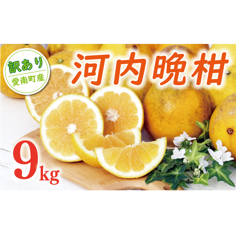 訳あり 河内晩柑 樹齢 20年以上 9kg ( Lサイズ 以上 ) 9000円 みかん mikan 蜜柑 ミカン わけあり かわちばんかん 愛南ゴールド あいなん ゴールド 美生柑 文旦 グレープフルーツ 和製 家庭用 産地直送 国産 農家直送 期間限定 数量限定 ビタミン 特産品 ゼリー ジュース 人気 限定 さわやか 甘い フルーツ 果物 柑橘 蜜柑 規格外 くらもとファーム 愛南町 愛媛県