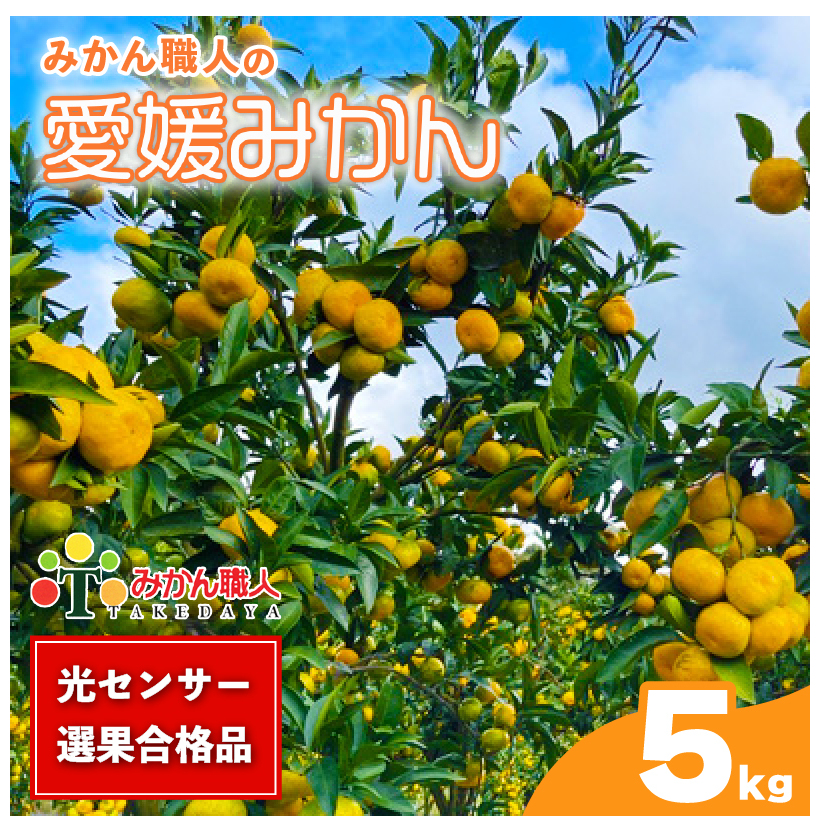訳あり 愛媛みかん 5kg 【発送期間:9月中旬~1月中旬】光センサー選果 柑橘 果物 国産 フルーツ 蜜柑 大小 ミックス 不揃い 傷 温州 ビタミン 美味しい みかん職人武田屋 愛媛県 愛南町