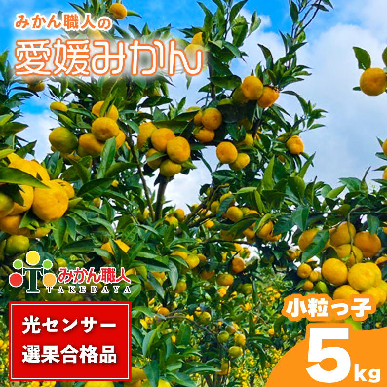 訳あり 愛媛みかん 小粒っ子 約5kg 【発送期間:9月中旬~1月中旬】 柑橘 果物 国産 フルーツ 蜜柑 ミックス 不揃い 傷 温州 ビタミン 美味しい みかん職人武田屋 愛媛県 愛南町
