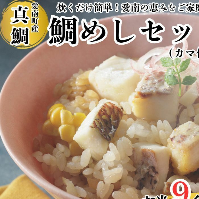 鯛めしセット （180ｇ×３パック） カマ付き まだい 鯛 冷凍 ダイスカット サイコロ コロコロ 角切り 鯛めし 釜めし 炊き込みご飯 10000円  おかず 惣菜 つまみ 入れるだけ 国産 魚介 特産品 魚介類 海産物 鮮魚 養殖 産地直送 海鮮 ブランド 簡単 お正月 お祝い 年末 年始 クリスマス パーティ お食い初め パック 愛南町 愛媛県 愛南サン・フィッシュ
