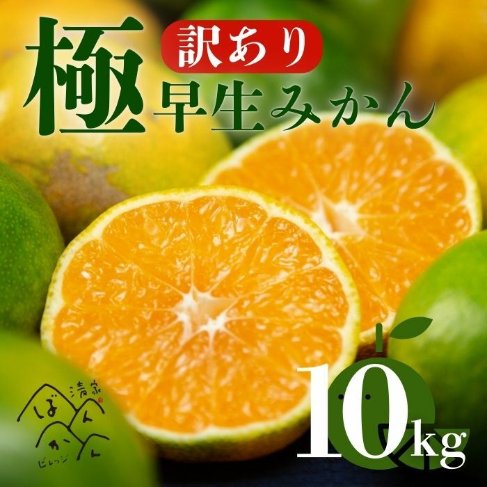 【訳あり】愛媛みかん （ 極早生 ） 10kg【発送時期：9月下旬～】2S-Lサイズ サイズミックス 愛媛みかん 温州みかん 一番みかん 柑橘 みかん 愛媛県 愛南町 清家ばんかんビレッジ