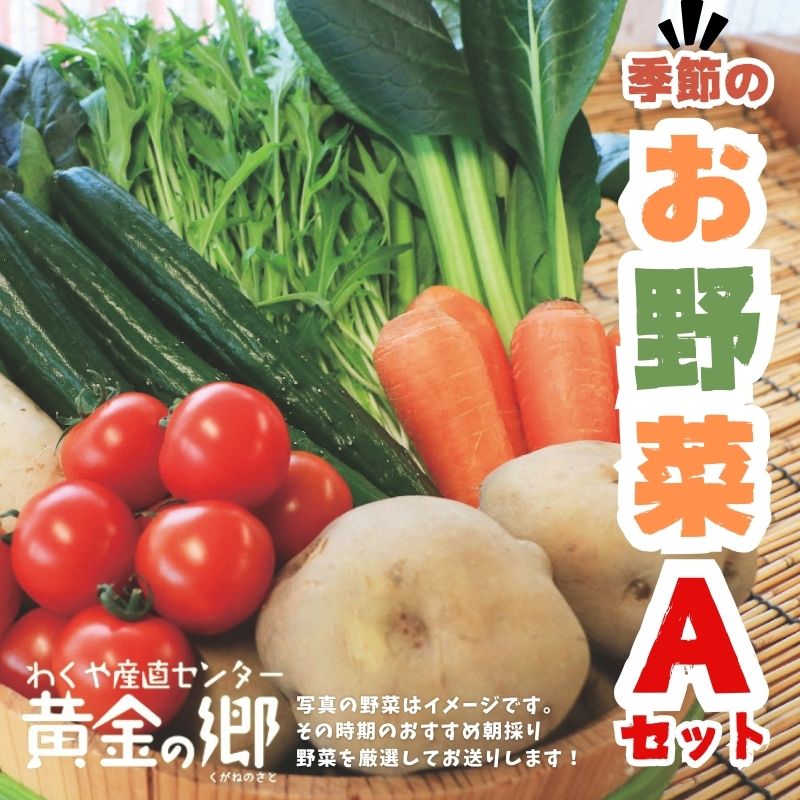 黄金の郷　季節のお野菜お楽しみAセット◇｜ 野菜・セット・詰合せ ※配送不可地域あり