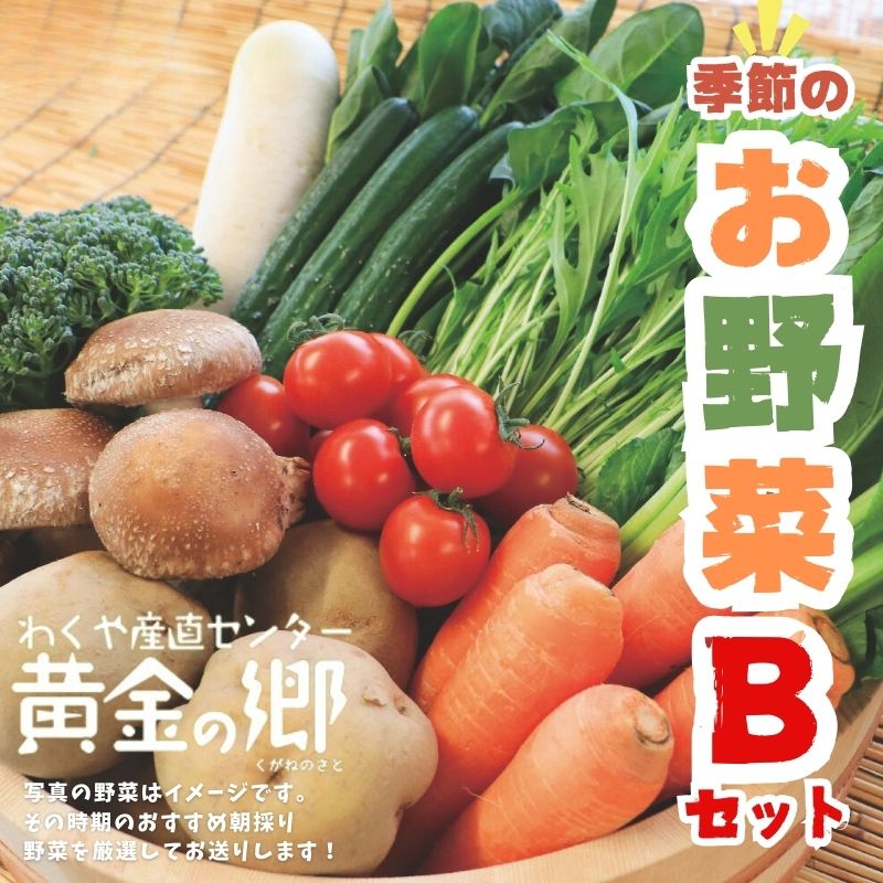 黄金の郷　季節のお野菜お楽しみBセット◇｜ 野菜・セット・詰合せ・野菜・きのこ ※配送不可地域あり