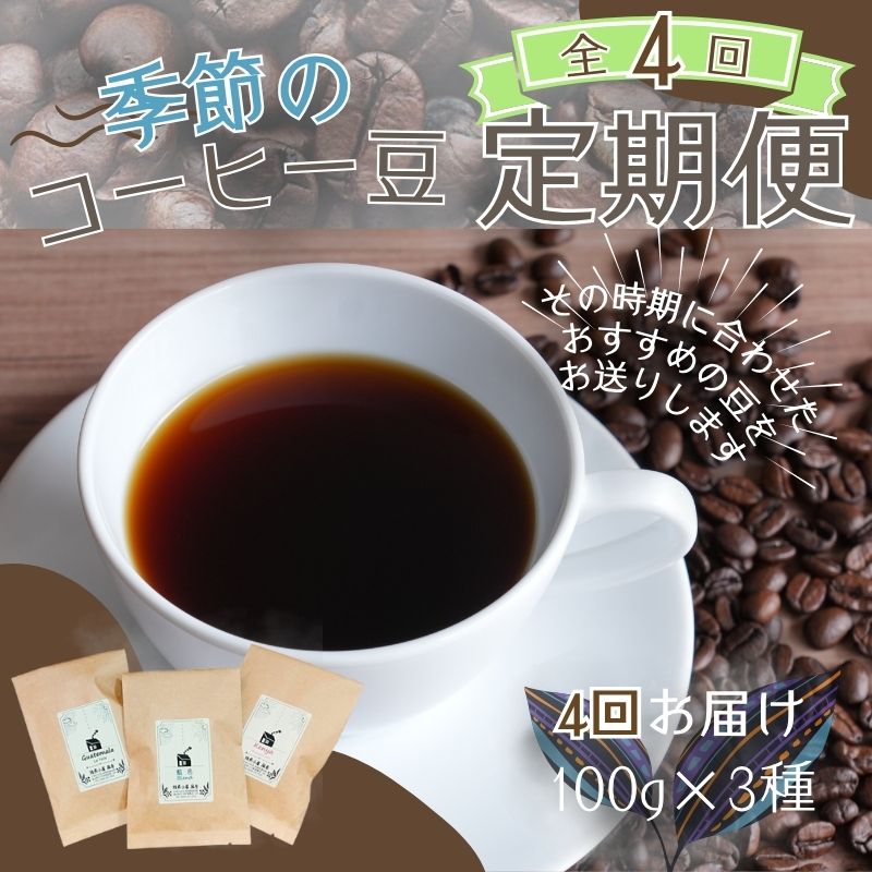 【4ヶ月定期便】季節のおすすめコーヒー豆3種セット〇 | 定期便・ 飲料類 スペシャルティ 自家焙煎 季節 おすすめ 風景 香り ブレンド ストレート コーヒーバッグ