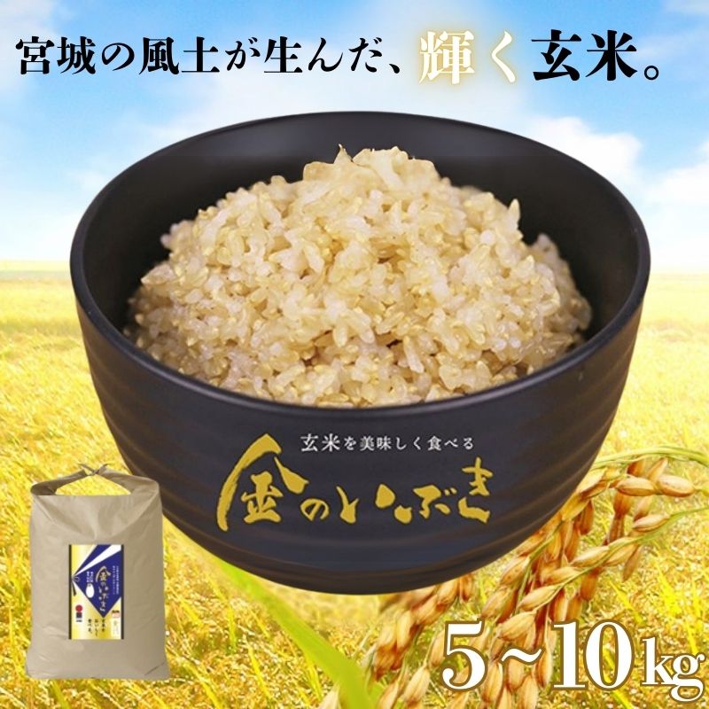 金のいぶき玄米 5kg◆ | 玄米・お米 ※2024年11月上旬頃より順次発送予定
