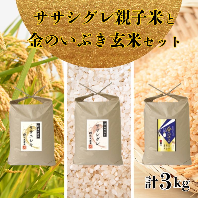 ササニシキ親子米と金のいぶき玄米のセット◇ | お米 精米 白米 ご飯 食べ比べ 栽培期間中 化学肥料 農薬 不使用 希少 主食 おにぎり お弁当 炭水化物 ※2024年10月中旬頃より順次発送予定