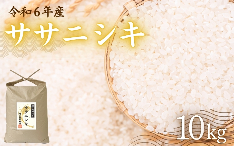 令和6年産 氏家農場のこだわりのお米「ササニシキ」10kg