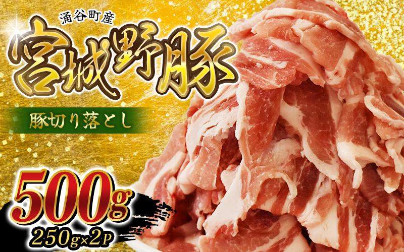 涌谷町産 宮城野ポーク 豚切り落とし 500g (250g×2P) 農林水産大臣賞受賞のブランド豚[sari007]