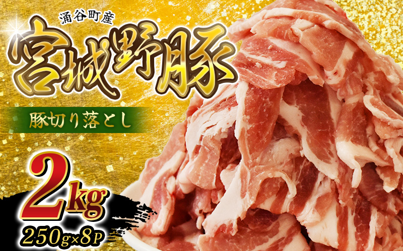 涌谷町産 宮城野ポーク 豚切り落とし 2kg 農林水産大臣賞受賞のブランド豚[sari009]