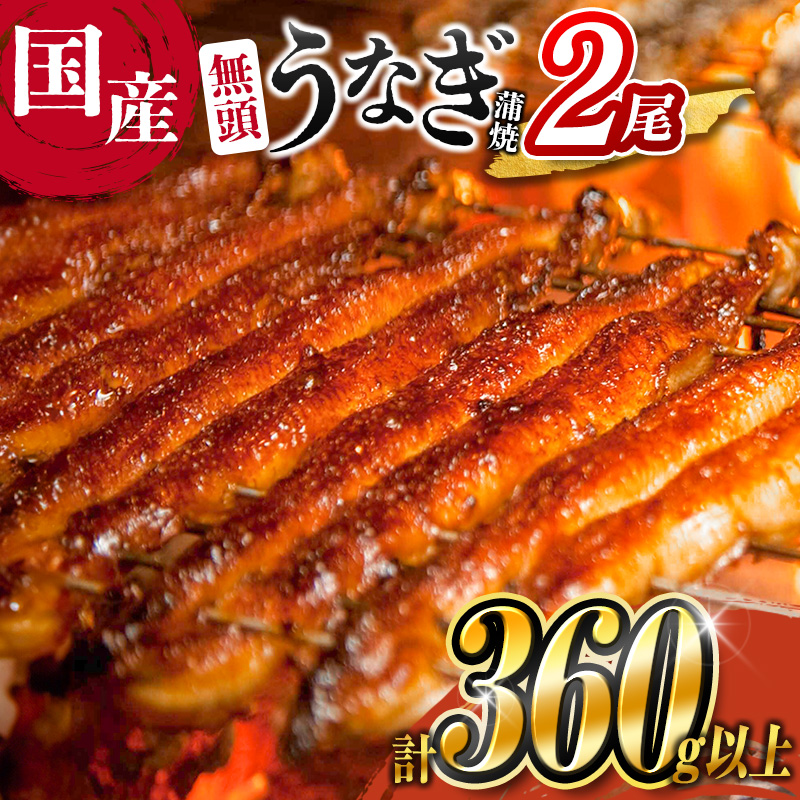 うなぎ 鰻楽 国産 蒲焼 2尾 無頭 計360g以上 宮崎県産 ※ご入金確認後、1〜2ヶ月以内に発送[B555-60]