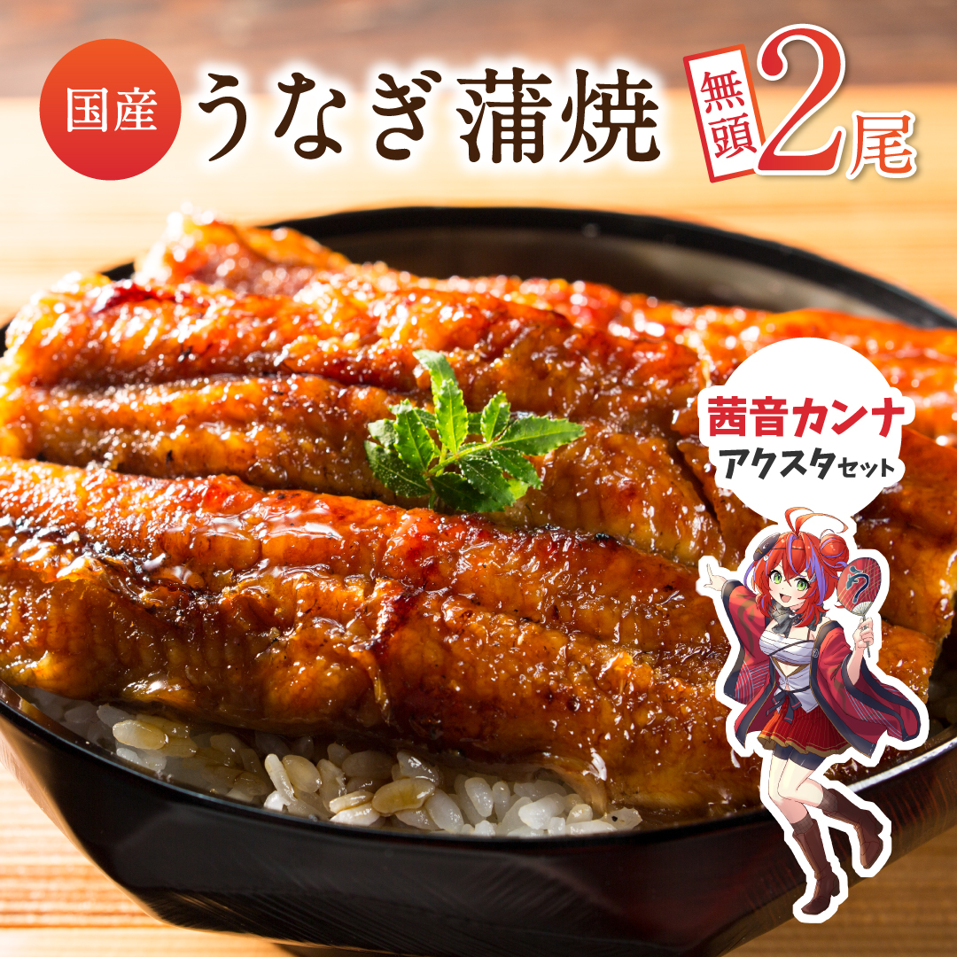 [JRE限定 ななしいんくコラボ返礼品][2025年11月お届け]うなぎ 鰻楽 国産 蒲焼 2尾 計240g以上(120g×2尾)茜音カンナアクリルスタンド付 おすすめ 冷凍 簡単調理 個包装 鰻 魚介[B666-VTuber2]