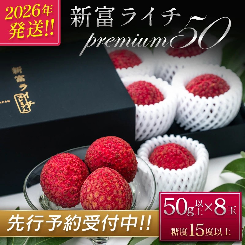 [2026年発送]希少!国産[新富ライチpremium50]50g以上×8玉 国産 ブランド フルーツ 果物 贈答品[C52-26]