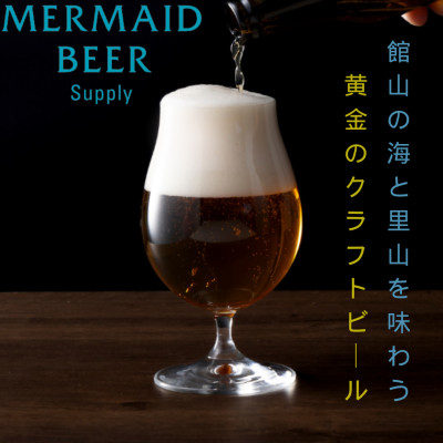 館山ブロンドエール 6本セット【配送不可地域：離島】【1578218】