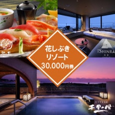 【花しぶきリゾート】ふるさと納税共通ギフト券 30,000円分【1487917】